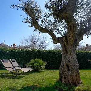 Palm View Rovigno